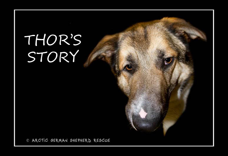 AGSR Long Road To Recovery Thor Story