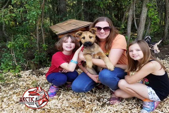 Happy Tails - AGSR Adopted Dogs