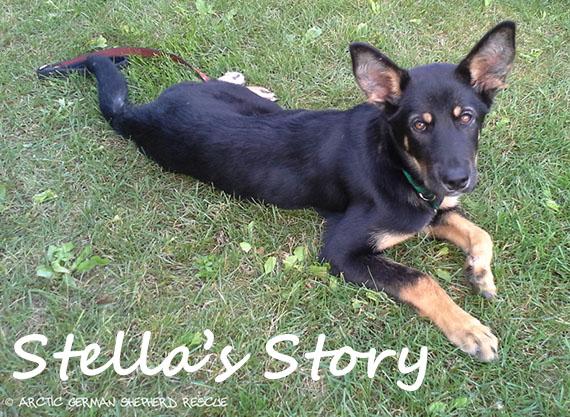 AGSR Long Road To Recovery Stella Story