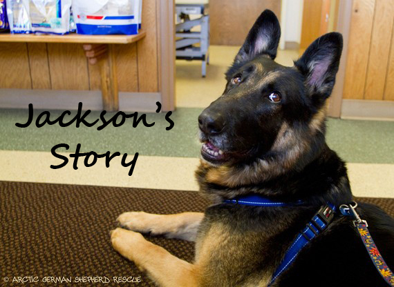 AGSR Long Road To Recovery Jackson Story