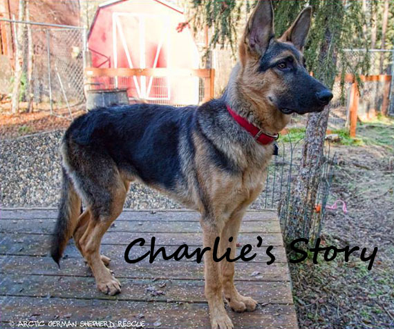 AGSR Long Road To Recovery Charlie Story
